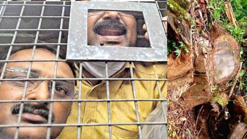 മുട്ടില്‍ മരംമുറി കേസില്‍ പ്രതികള്‍ക്ക് തിരിച്ചടി; ഈട്ടിത്തടികള്‍ കണ്ടുകെട്ടിയ നടപടി കോടതി ശരിവച്ചു